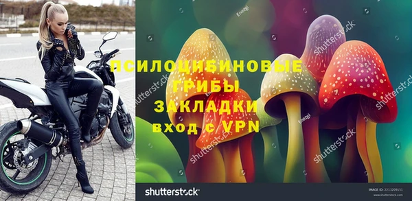 ПСИЛОЦИБИНОВЫЕ ГРИБЫ Абинск