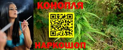 прущие крисы Краснознаменск