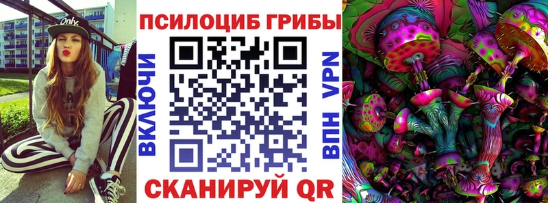 ОМГ ОМГ вход  где купить наркоту  Камень-на-Оби  Псилоцибиновые грибы Magic Shrooms 