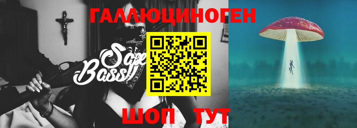 Галлюциногенные грибы Psilocybine cubensis  Вход с VPN  Камень-на-Оби 